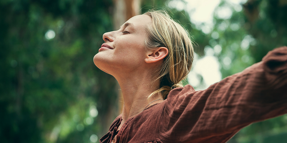 The programs featured image