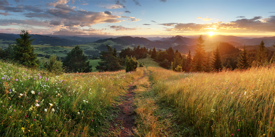 The programs featured image