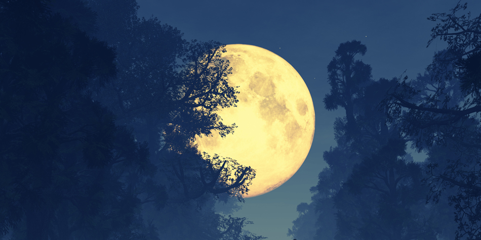 The programs featured image